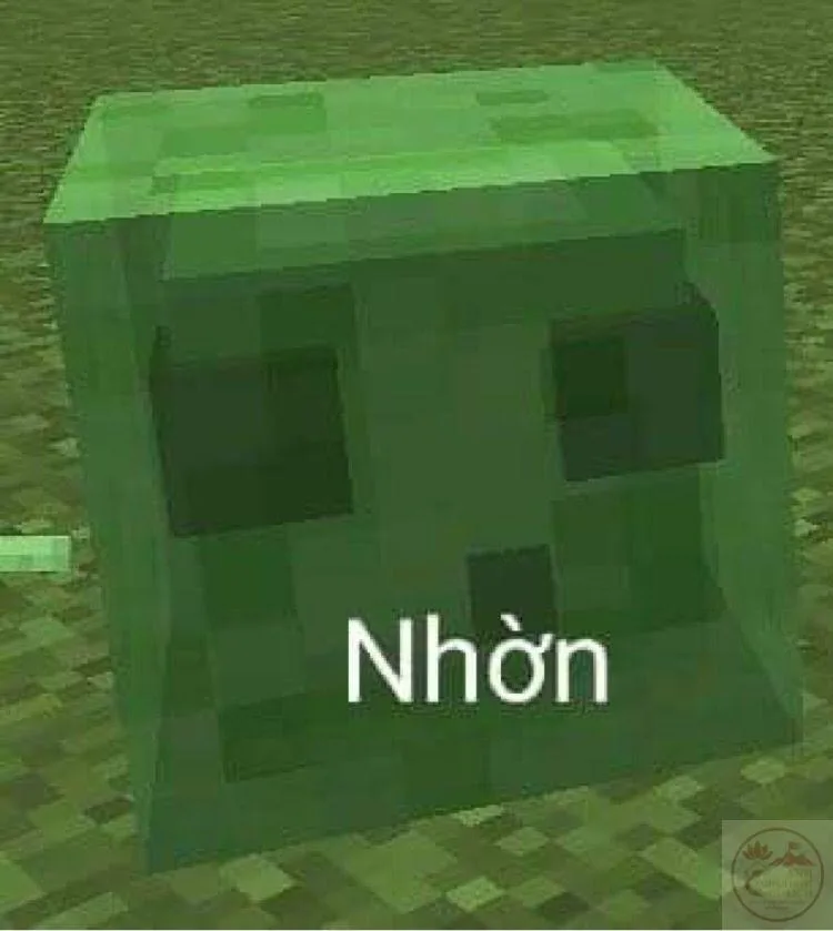 meme minecraft vn
