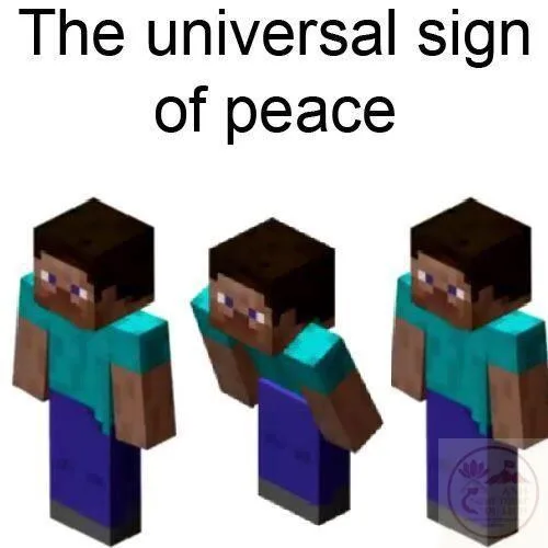 skin minecraft meme
