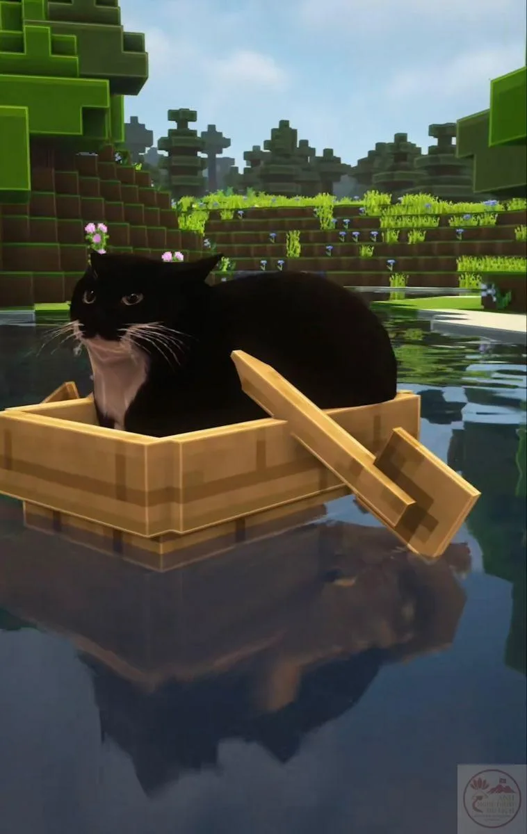 skin minecraft meme