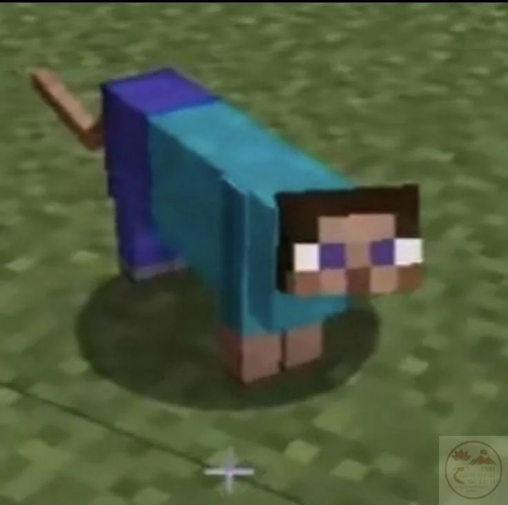 skin minecraft meme