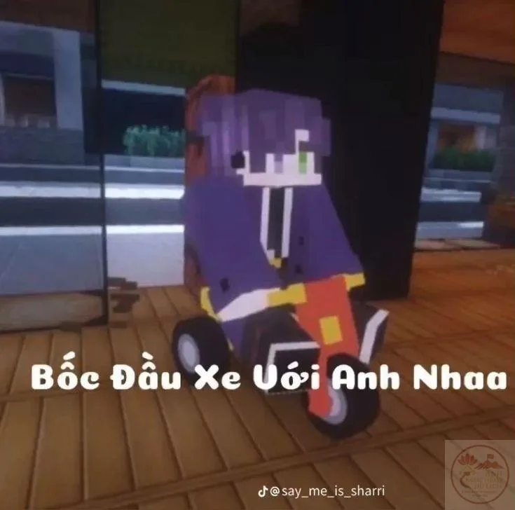 meme minecraft vn