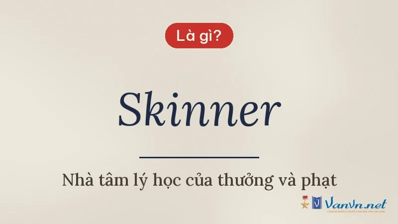 Skinner là gì