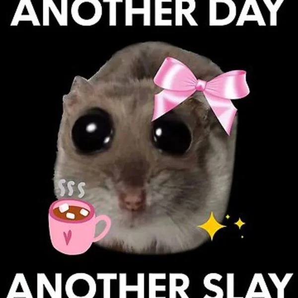 slay meme