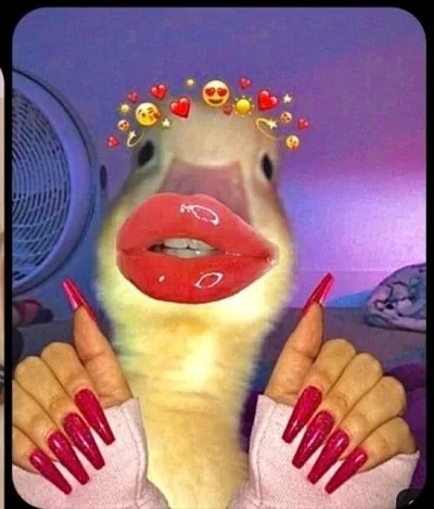 môi slay meme