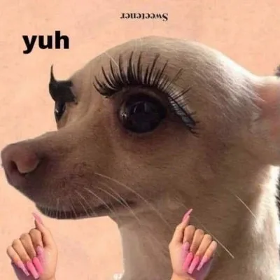 ảnh slay meme