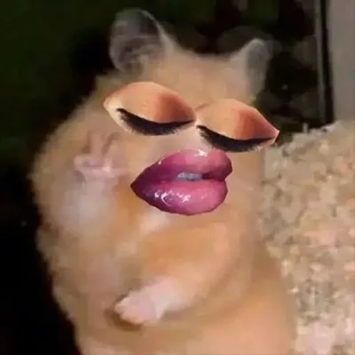 môi slay meme