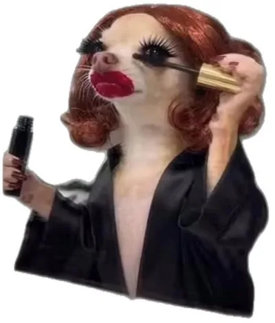 ảnh slay meme