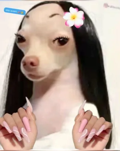 ảnh slay meme