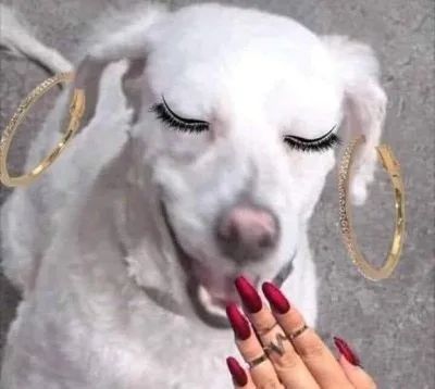 ảnh slay meme
