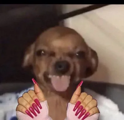 ảnh slay meme