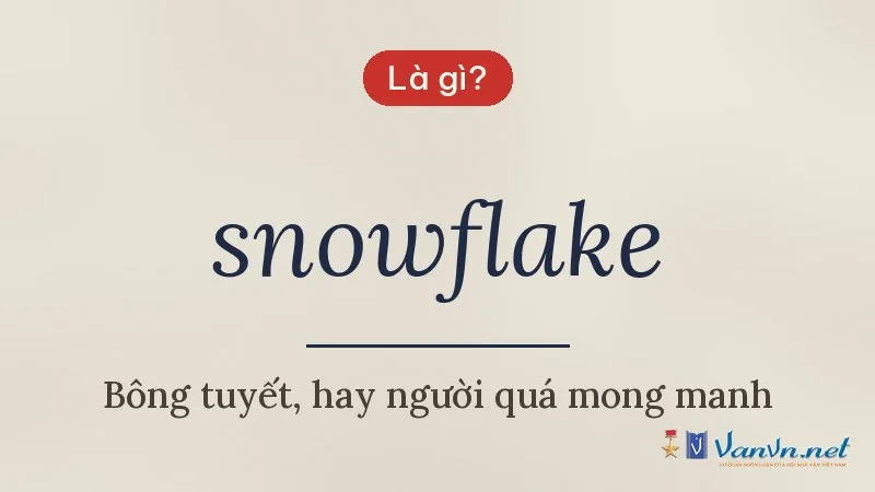 snowflake là gì
