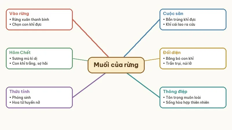 sơ đồ hành trình ông diểu trong muối của rừng