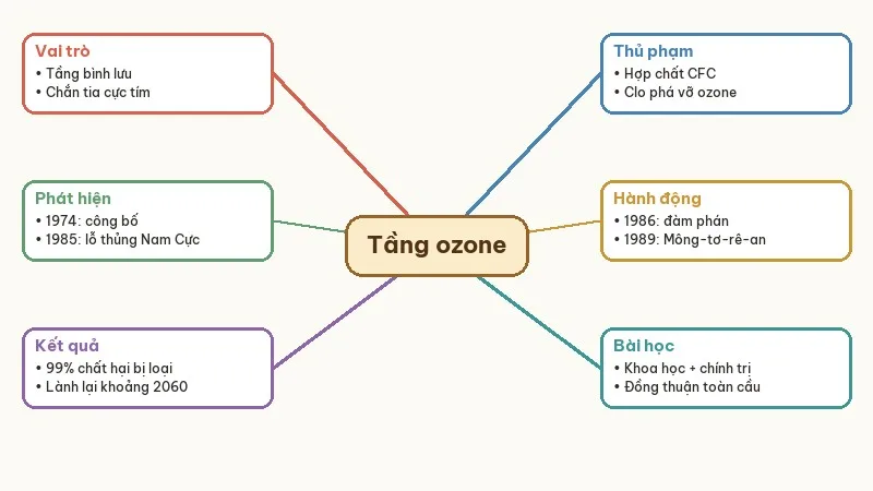 sơ đồ tóm tắt phục hồi tầng ozone