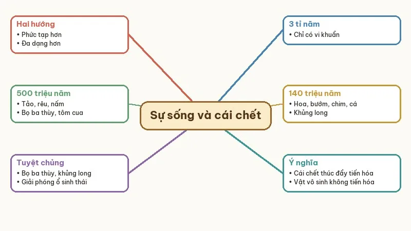 sơ đồ tóm tắt sự sống và cái chết