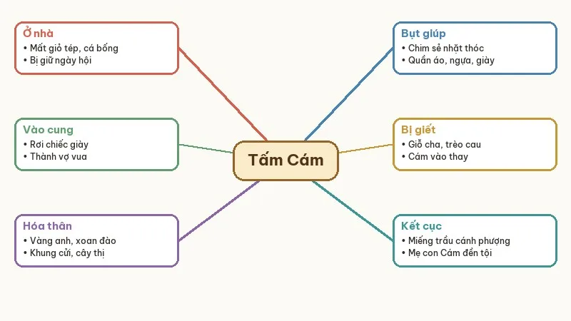 sơ đồ tóm tắt tấm cám