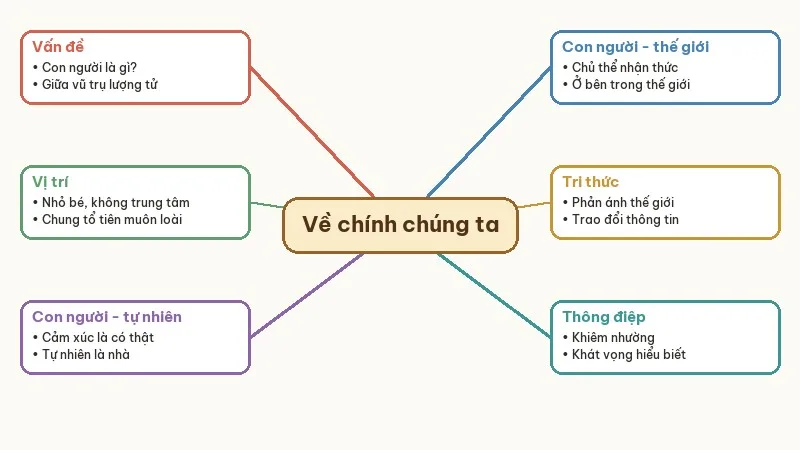sơ đồ tóm tắt về chính chúng ta