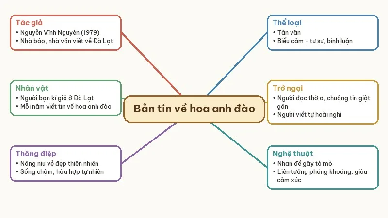 sơ đồ tư duy bản tin về hoa anh đào
