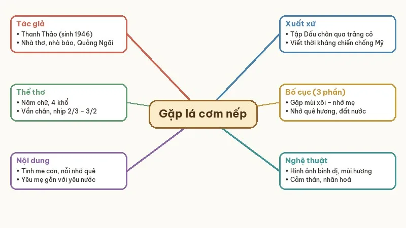 sơ đồ tư duy gặp lá cơm nếp