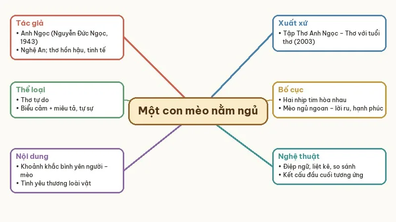sơ đồ tư duy một con mèo nằm ngủ trên ngực tôi