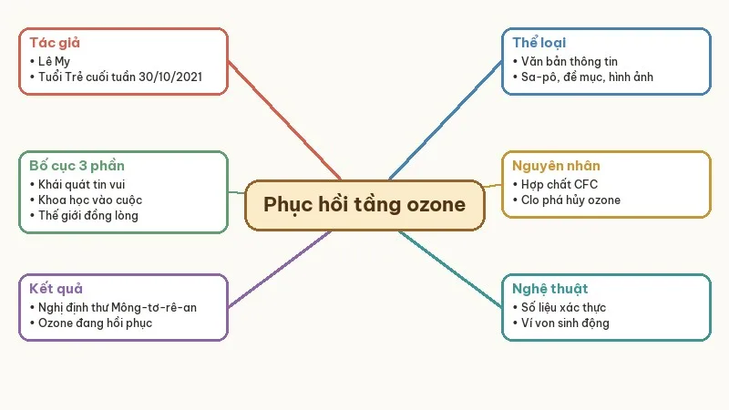 sơ đồ tư duy phục hồi tầng ozone
