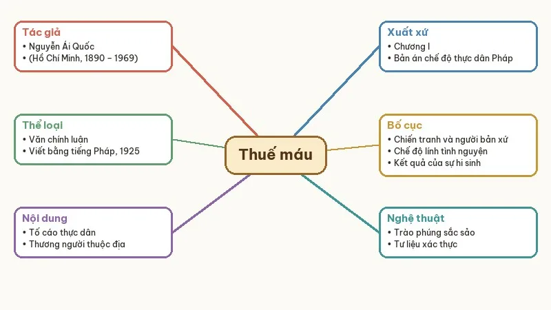 sơ đồ tư duy thuế máu