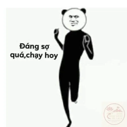meme sợ quá