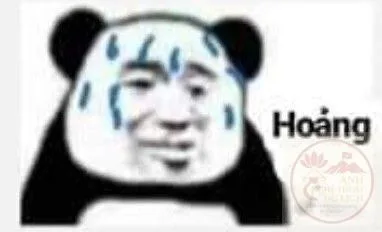 meme sợ quá