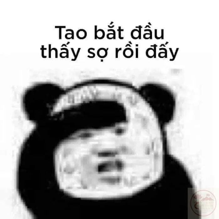 meme sợ quá