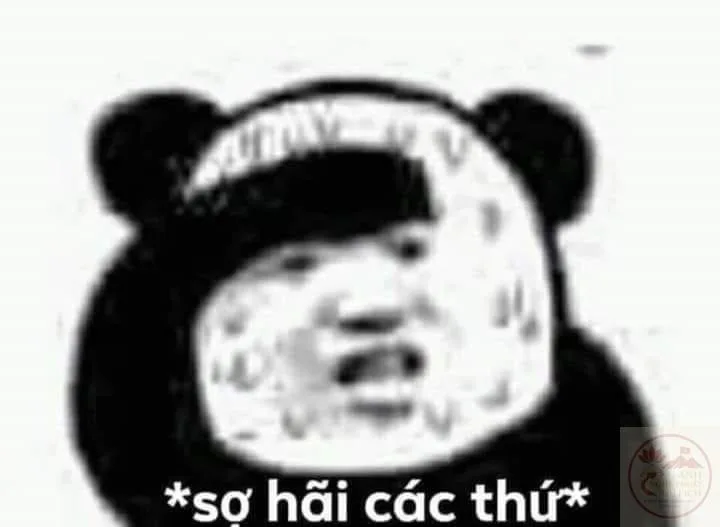 meme sợ quá