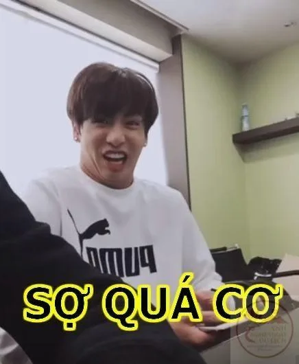 meme sợ quá cơ