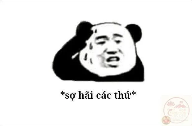 meme sợ quá