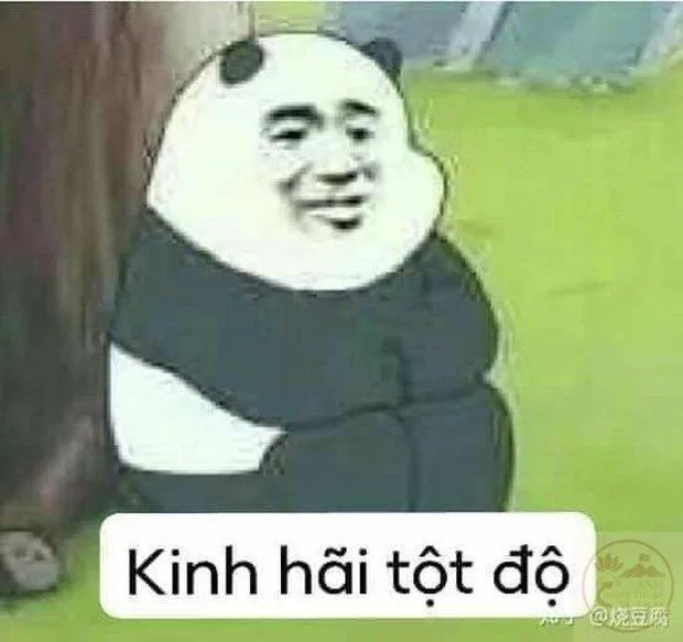 meme sợ quá