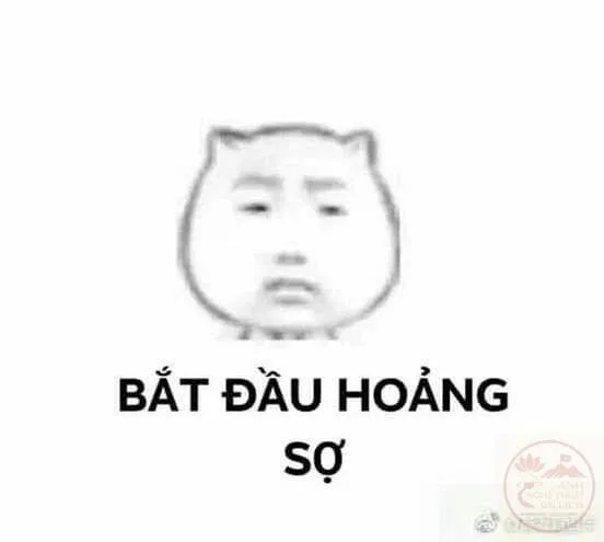 meme sợ quá
