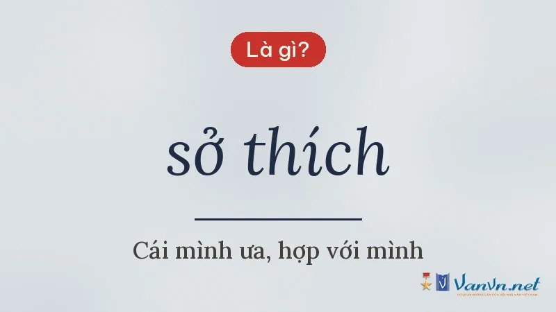 sở thích là gì