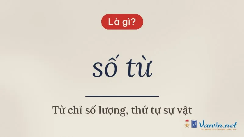 số từ là gì