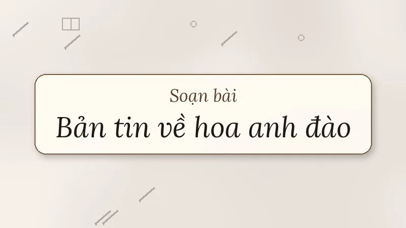 soạn bài bản tin về hoa anh đào