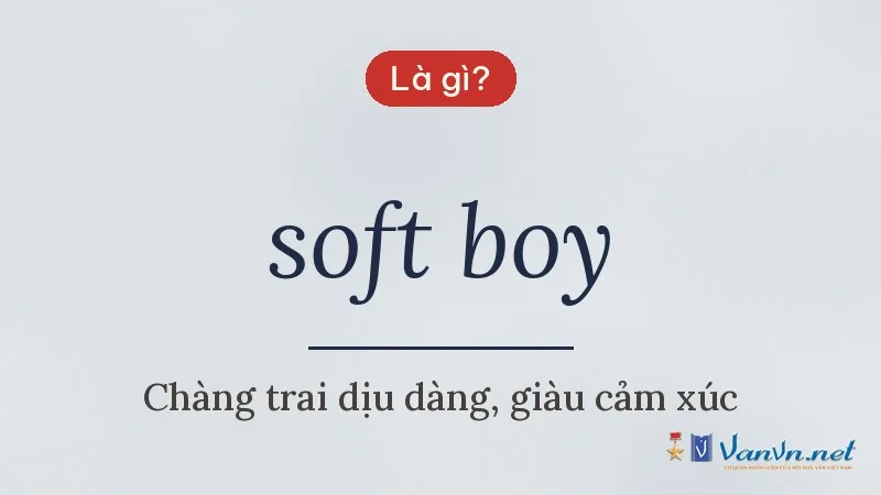 soft boy là gì