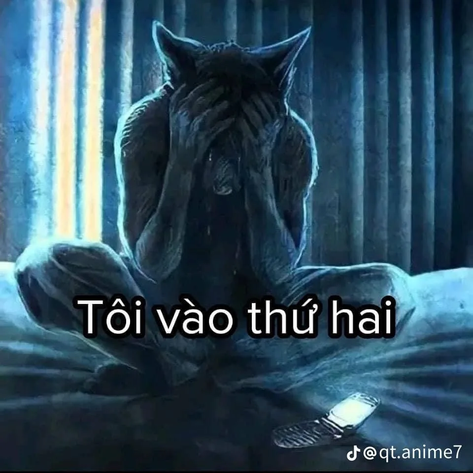 meme sói cô độc