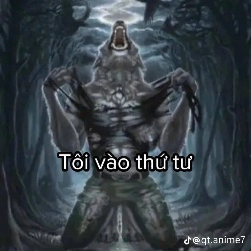 meme sói cô độc