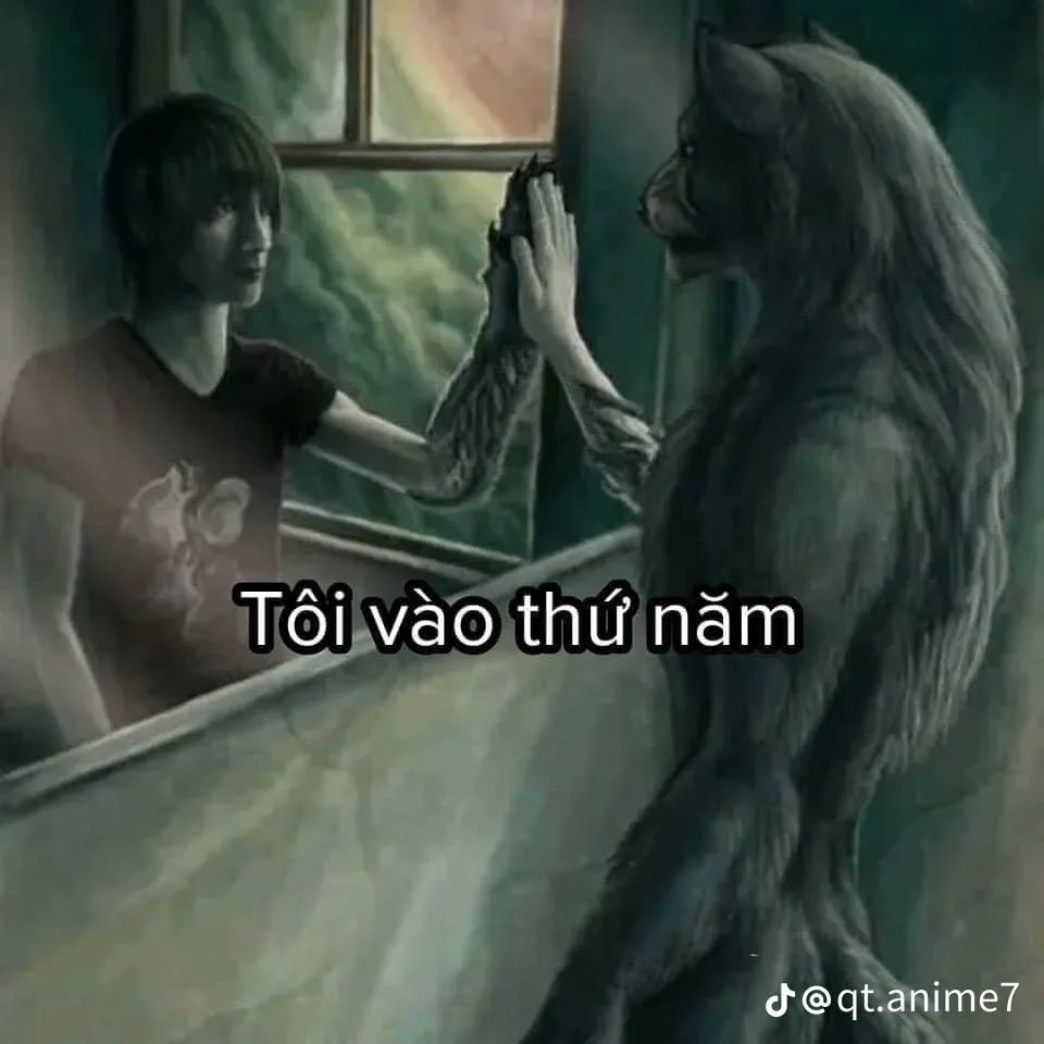 meme sói cô độc