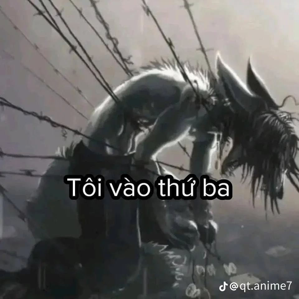 meme sói cô độc