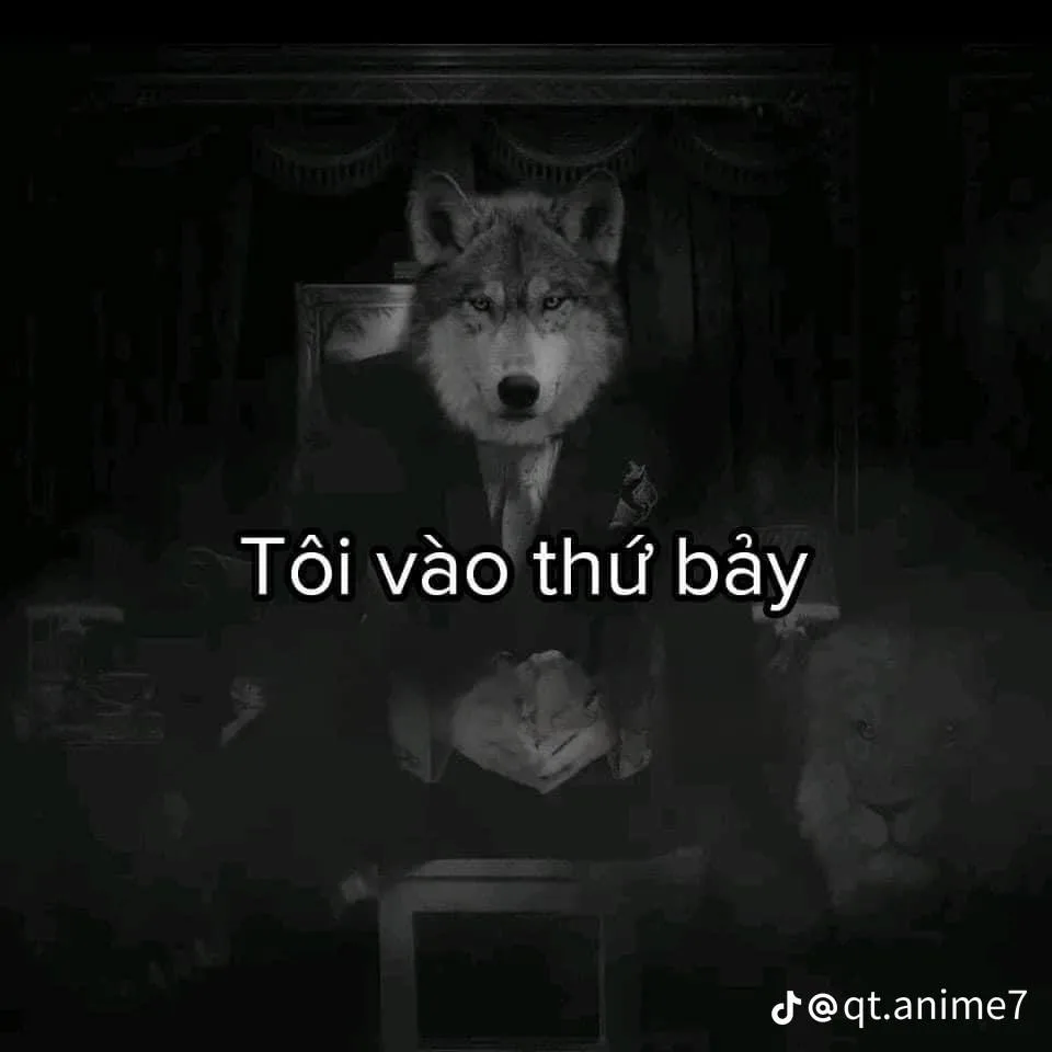 meme sói cô độc