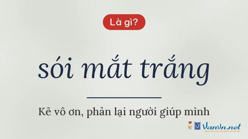 sói mắt trắng là gì