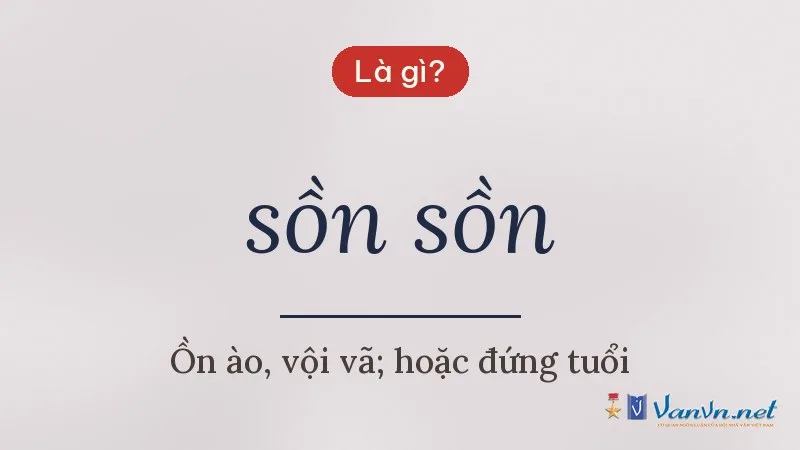 sồn sồn là gì