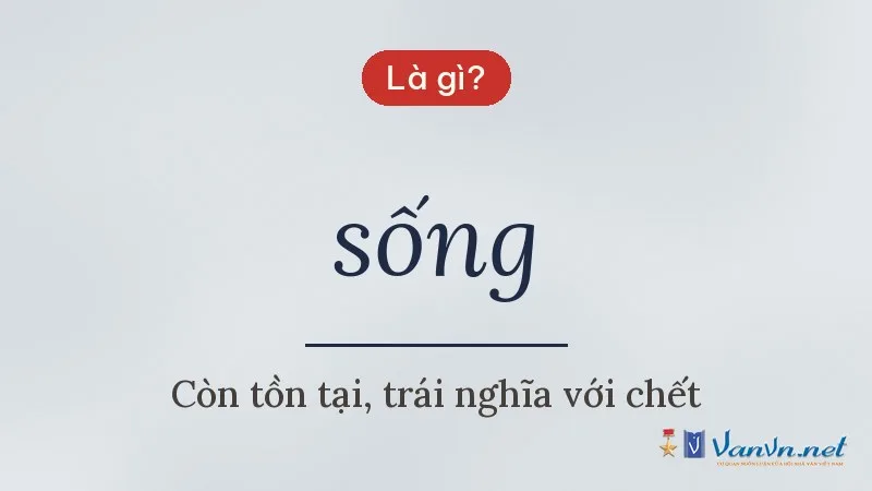 sống là gì