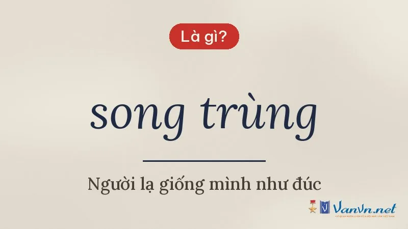 song trùng là gì
