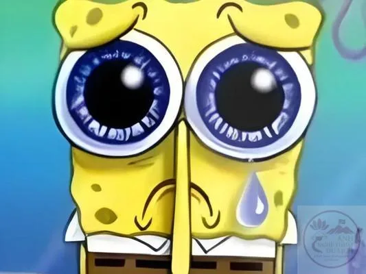 meme spongebob