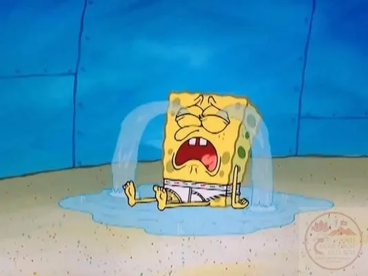 meme spongebob