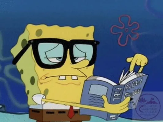 spongebob meme