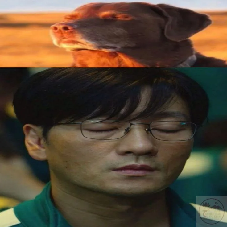 squid game meme face